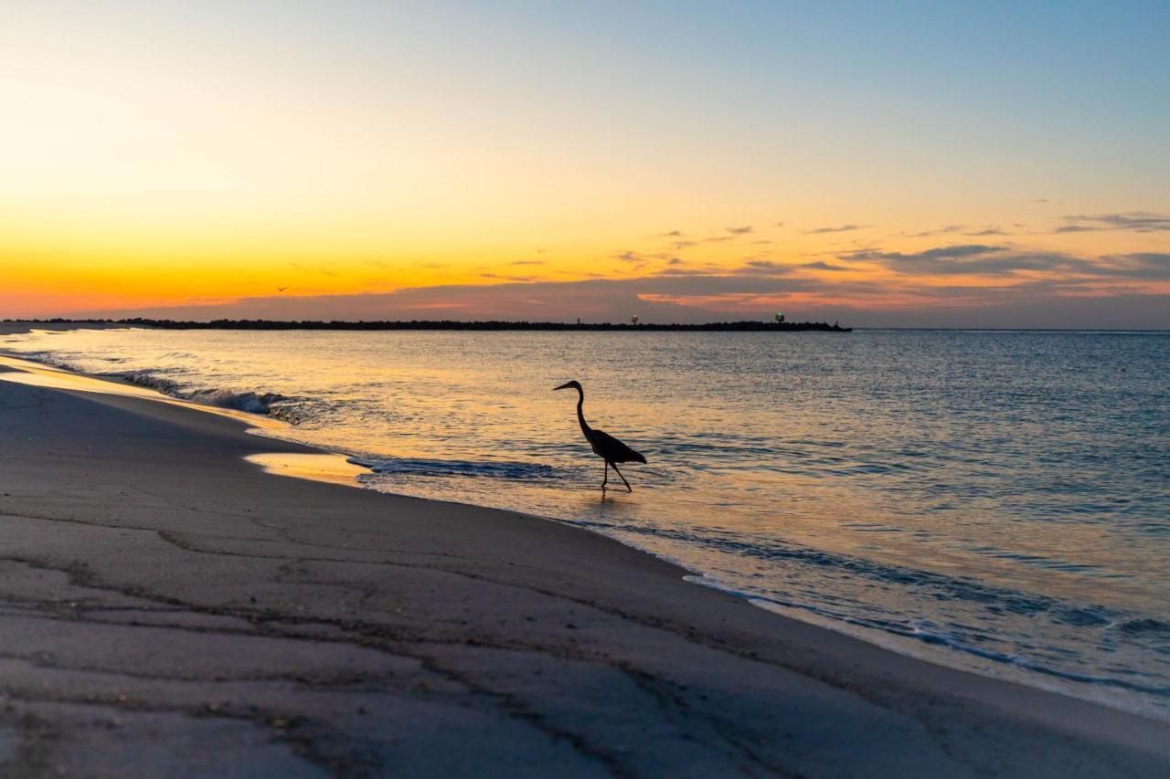 Perdido Beach Resort Orange Beach Εξωτερικό φωτογραφία